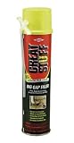 Tools & Hardware : DOW CHEMICAL/FLEXIBLE PROD 157913 20OZBigGap Foam Sealant
