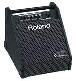 Roland PM10 V-Drum Speaker System