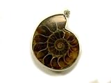 PA0955A Madagascar Ammonite Fossil Pendant