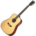Washburn D46S with Case 6-string Acoustic Dreadnought Guitar