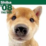 THE DOG柴 2008年カレンダー