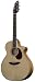Breedlove Atlas Stage J350/EF-12 Acoustic Electric Guitar