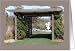 Blank Card - Pergola Card