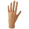 Diane Practice Mannequin Hand