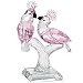 Crystal Lovebird Parrots