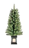Celebrations 4ft Clear PreLit Tree with Twinkling Pot (BOWO999346ACE)