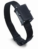 RoamEO GPS Dog Collar : Collar Size MEDIUM