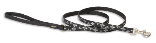 Lupine Small Dog Leash - Silver Charm 4 ft.