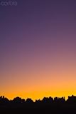Wallmonkeys Peel and Stick Wall Decals - Sunset in the Needles District in Canyonlands National Park - Removable Graphic
