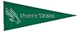 NCAA North Texas Mean Green Medium Pennant