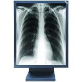 LCD 21.3, Brightness 700 CD/m  (235 Fl) Max, 400CD/M  (117 Fl) Calibrated,contra
