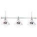 NHL Columbus Blue Jackets 60 Inch 3 Shade Billiard Lamp (fls)