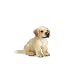Schleich - Golden Retriever Puppy