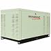 Generac Guardian Series 25 kW Emergency Standby Power Generator - QT02515ANSX
