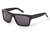 Dragon Alliance Vice Roy Sunglasses (Jet, Grey Polar)