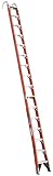 Werner SPF16-1 16-Foot 300-Pound Duty Rating Fiberglass Straight Posting Ladder
