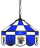 Kentucky Wildcats 14 Executive Swag Hanging Lamp