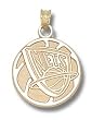 New Jersey Nets Basketball 3/4" Charm/Pendant -14K/10K, Stainless Steel or Gold Plated