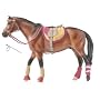 English Riding Set Hot