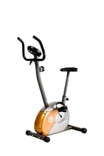 Marcy Upright Mag Cycle