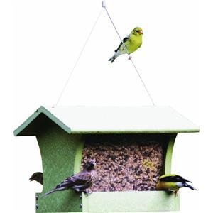 Birds Choice GSHF200 Green Bird Feeder