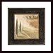 Nature's Spirit I by Susan Osborne 20.00X20.00 Framed with Black Wood Frame