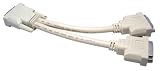 Max Value DVI-D Splitter Cable, 1x Male to 2x Female, 0.3 Mtr, Beige