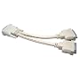 Max Value DVI-D Splitter Cable, 1x Male to 2x Female, 0.3 Mtr, Beige
