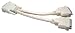 Max Value DVI-D Splitter Cable, 1x Male to 2x Female, 0.3 Mtr, Beige