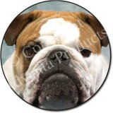 BULLDOG Fridge Magenet