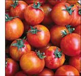 31x7SAHiMFL. SL160  Isis Candy Cherry Tomato Seed