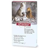 Advantage - For Dogs And Puppies 21-55 Lb by Advantage