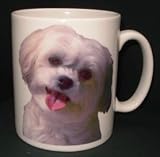 \"Lhasa