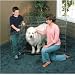 Pet Supplies : Midwest Life-Stages 30-by-21-by-24-Inch Triple-Door Folding Metal Dog Crate