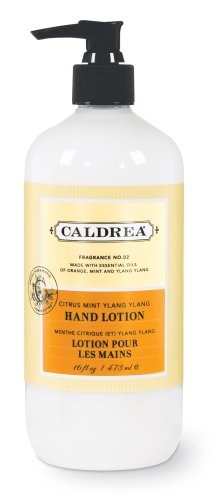 Caldrea Hand Lotion, Citrus Mint Ylang Ylang, 16-Ounce Bottles (Pack of 6) by Caldrea