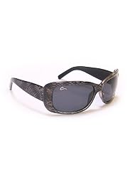 Coyote Eyewear Ladies D 19 Sunglasses by
