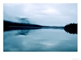 Common Loon, Swimming on a Lake, Quebec, Canada Photographic Poster Print by Philippe Henry, 16x12