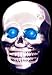 Skull Bolt with Blue Light up eyes