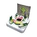 Discovery Exclusive Frog Anatomy Kit