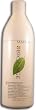 Matrix Biolage Normalizing Shampoo 33.8 oz