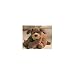   - Plush Little Snoogy Dog 10