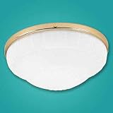 10 Inch Low Profile Light Kit With Rosette Glass