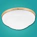 10 Inch Low Profile Light Kit With Rosette Glass