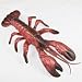 Plastic Lobster