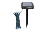 Blingstring Solar Fairy Lights with 120 LED Bulbs
