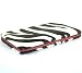 Zebra Print Flat Opera Wallet in Choice of Trim Colors