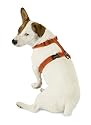 Planet Dog Cozy Hemp Adjustable Harness Orange Medium