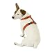 Planet Dog Cozy Hemp Adjustable Harness Orange Large