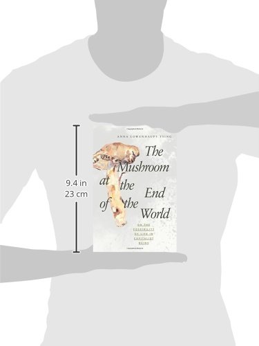 The mushroom at the end of the world : on the possibility of life in capitalist ruinsの表紙