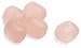 People Drops Watermelon Drops, 6-Pound Bag